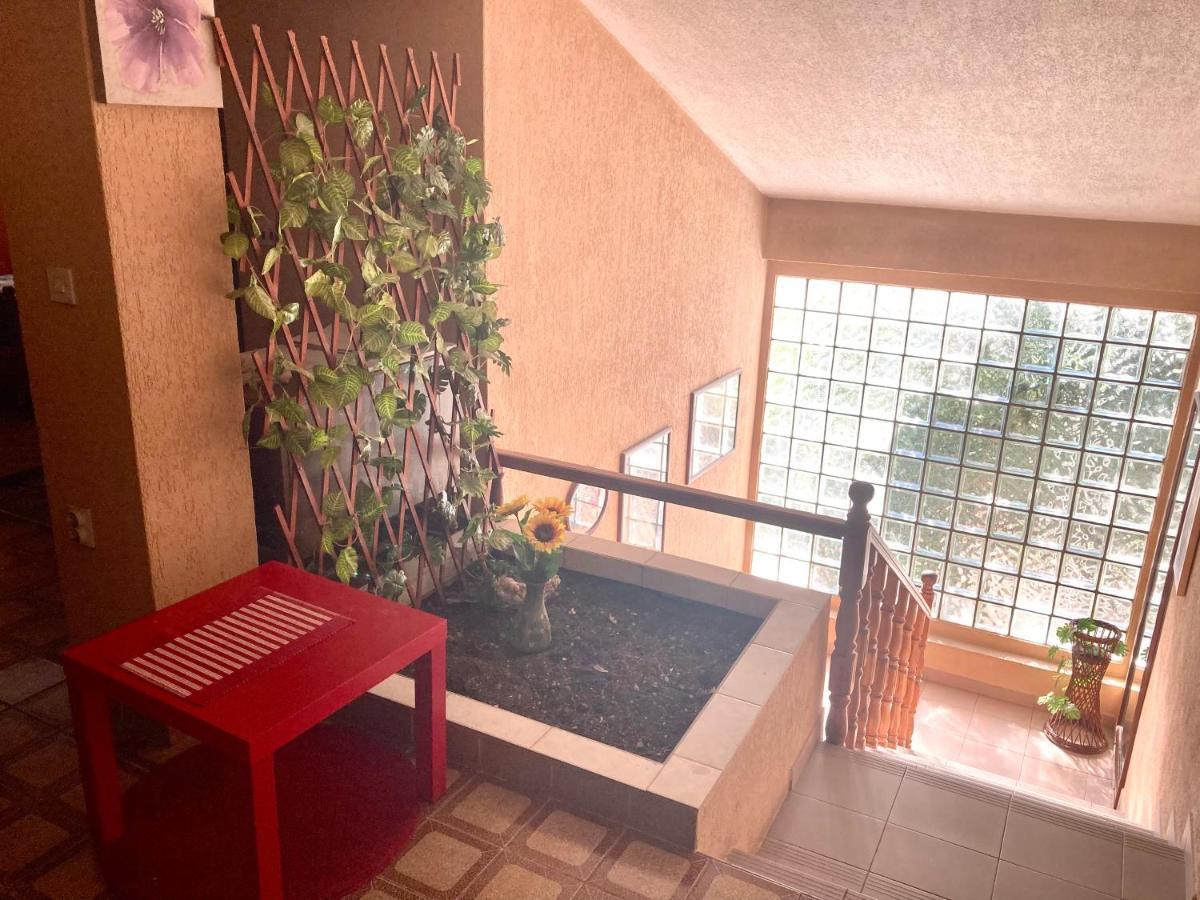 Apartmani Ilic Herceg Novi Exterior foto